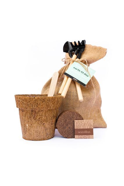 KIT-050-mi-plantita-kit.jpg