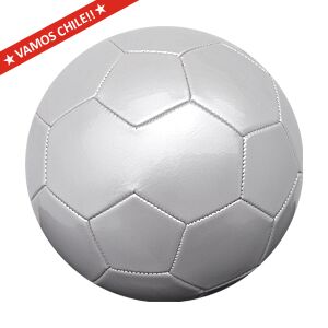 Balón de Fútbol Nº5