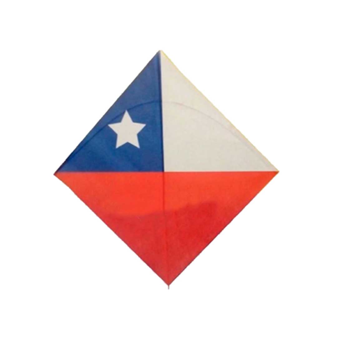 volantin Volantín con logo