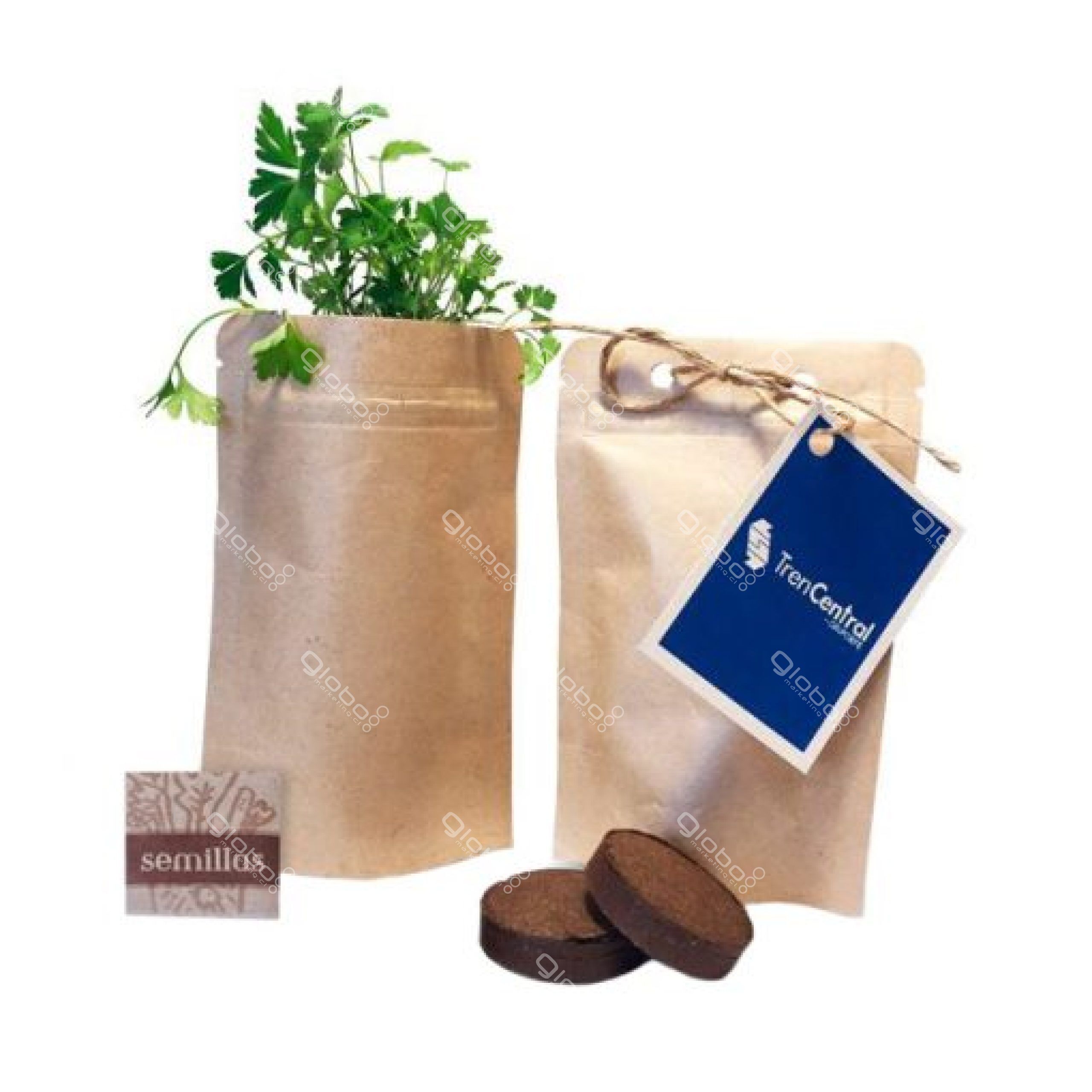 KIT DE SIEMBRA 25 Garden Bag