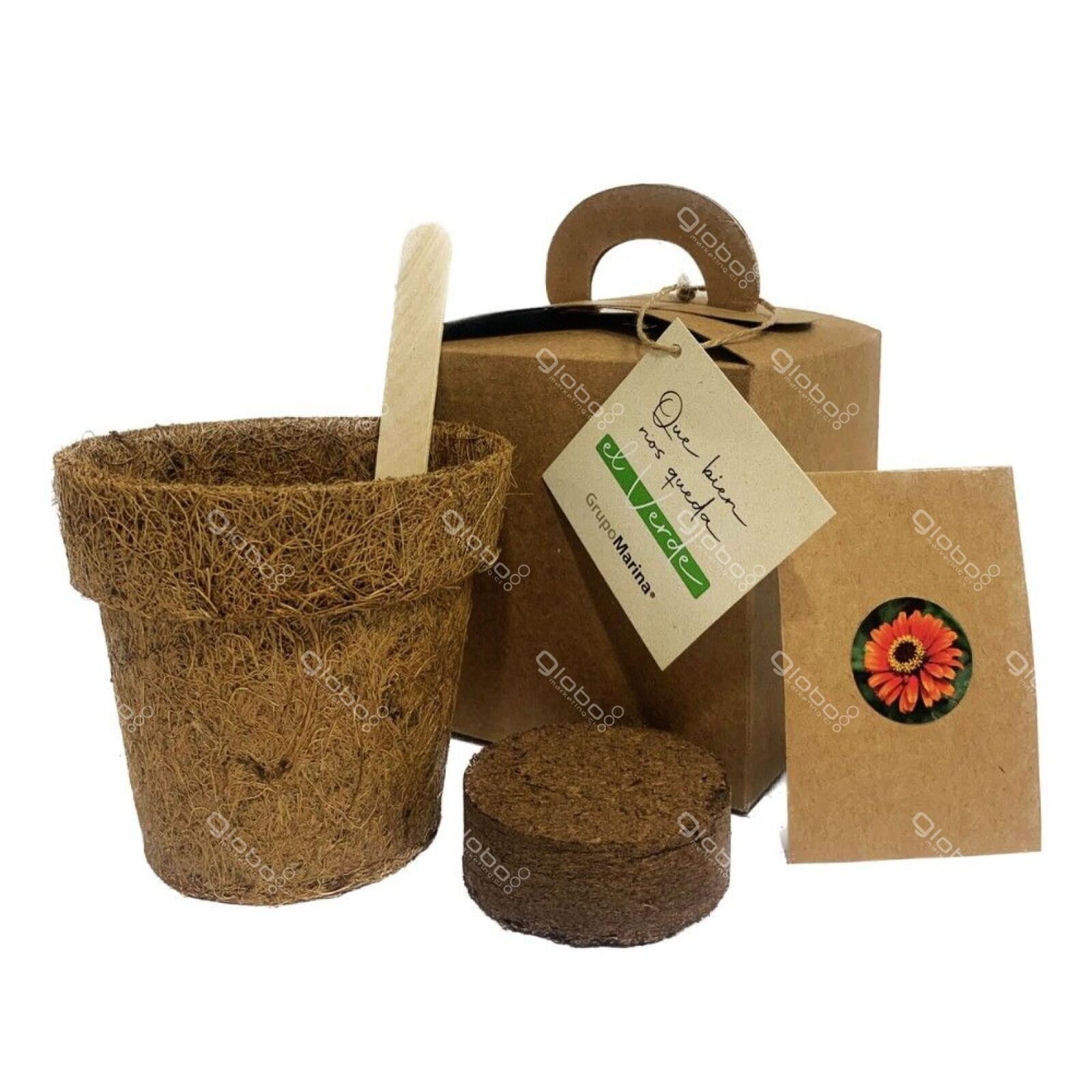 WhatsApp Image 2025-05-19 at 5.53.33 PM