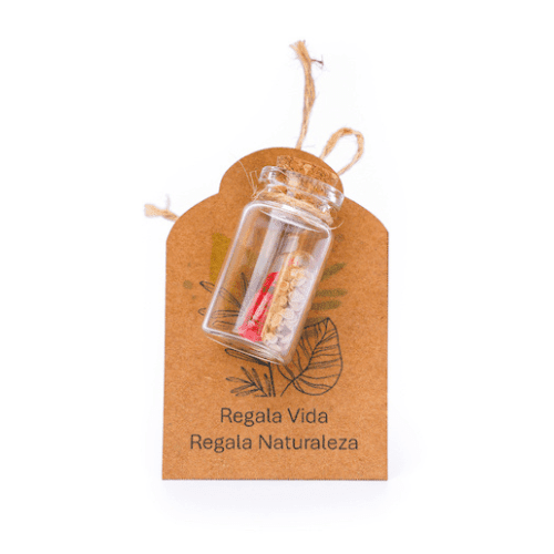 KIT06-Pildora-con-semillas.png