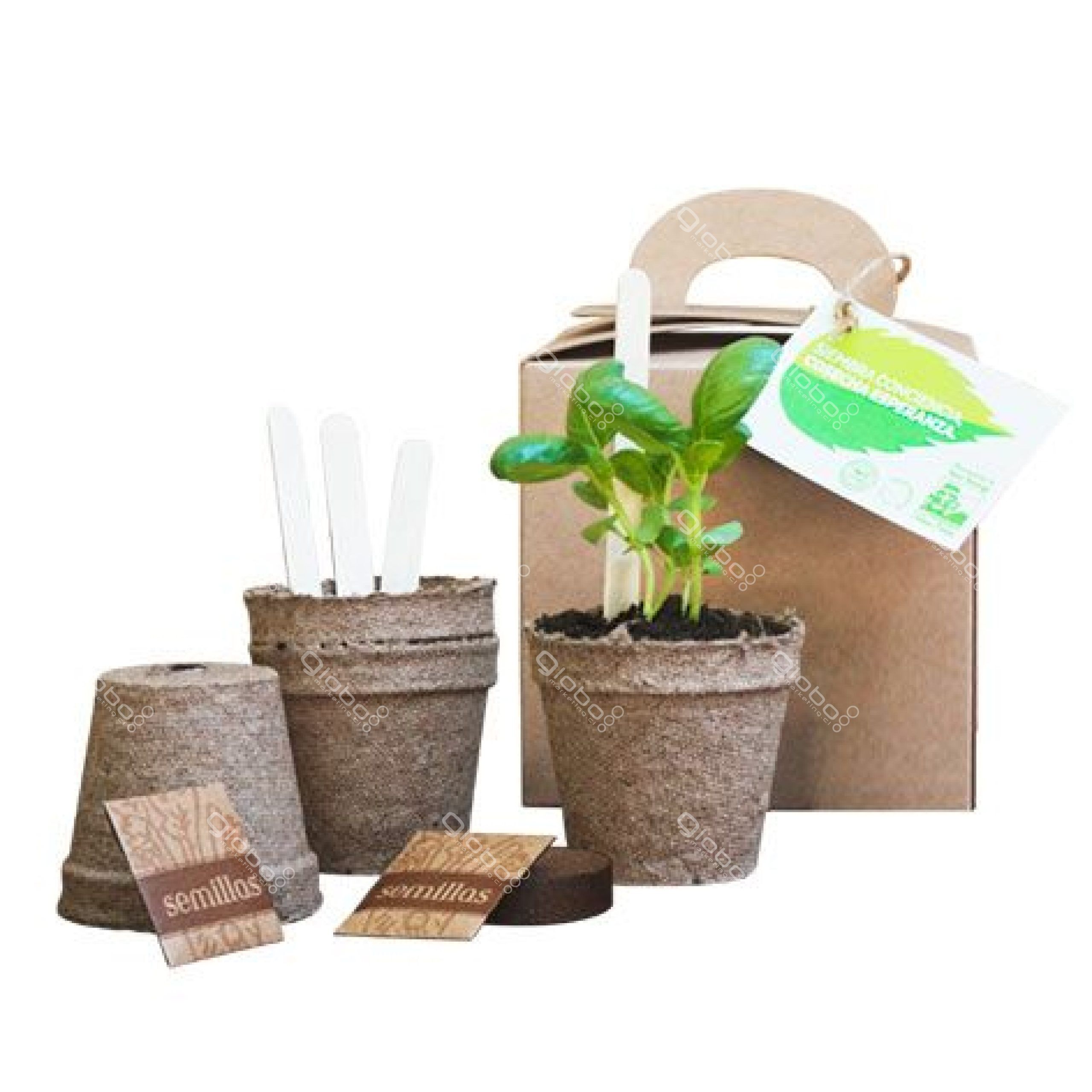 Siembra mix huerta